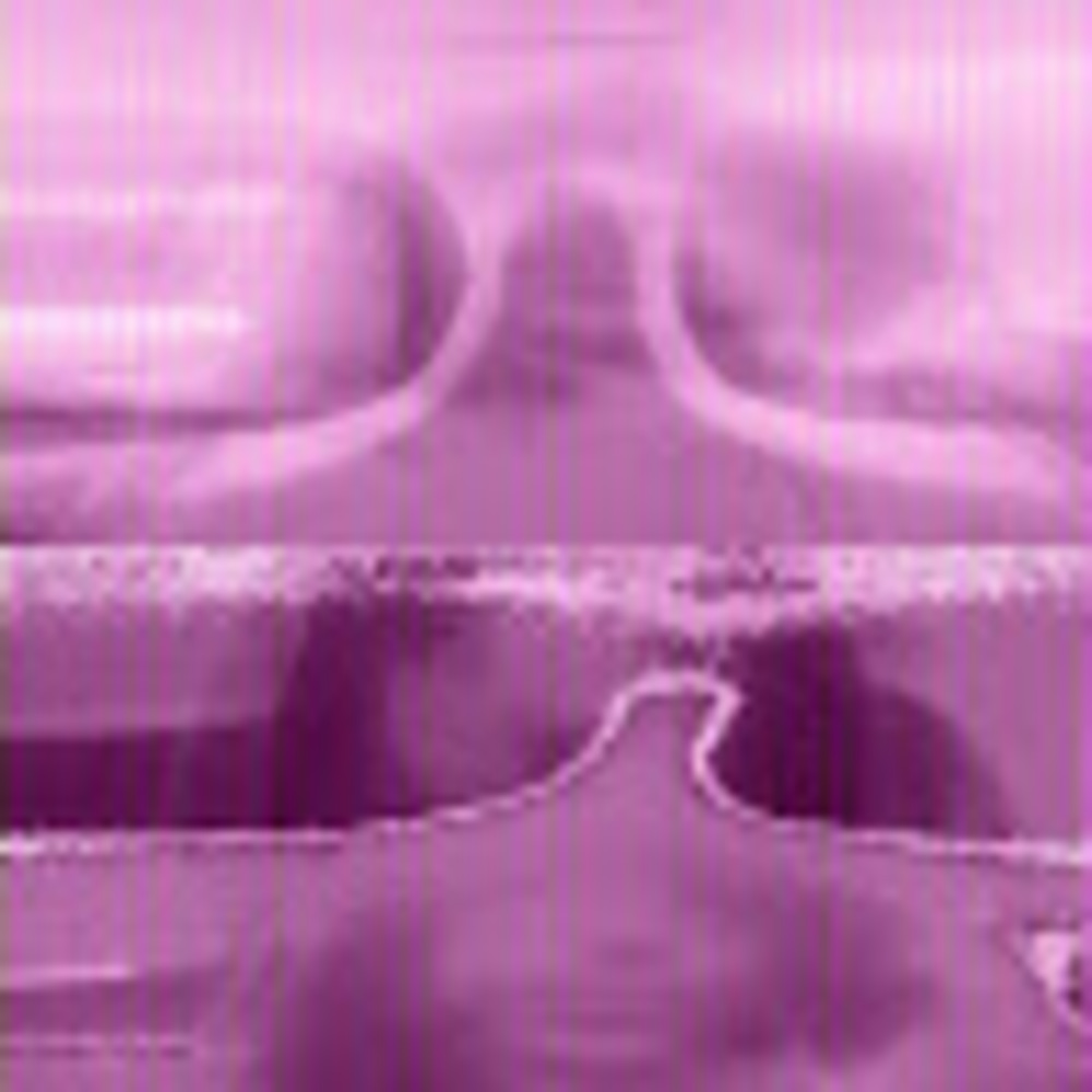 Meet your Posher, Deen